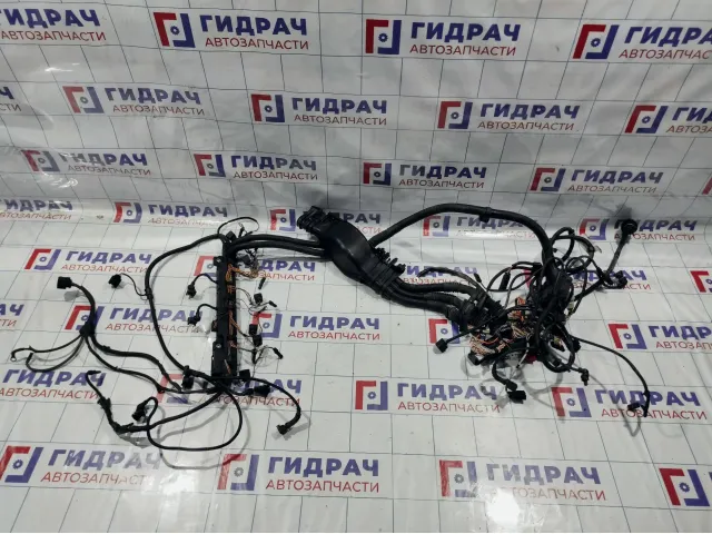 Проводка моторная BMW X6 (E71) 12517583103