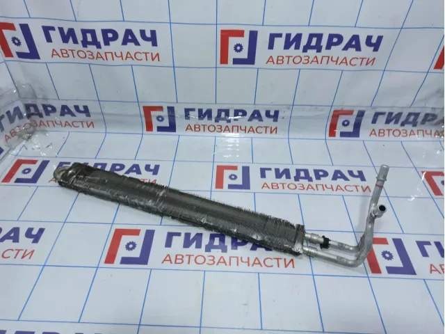 Радиатор гидроусилителя BMW X6 (E71) 17117606254