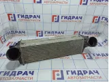 Интеркулер BMW X6 (E71) 17517809321