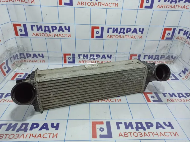 Интеркулер BMW X6 (E71) 17517809321