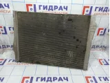 Радиатор основной BMW X6 (E71) 17117533472