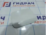 Лючок бензобака BMW X6 (E71) 51172147588