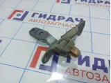 Петля двери багажника верхняя левая BMW X6 (E71) 41007202863