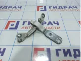 Петля двери багажника верхняя правая BMW X6 (E71) 41007202864