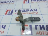 Петля двери багажника верхняя правая BMW X6 (E71) 41007202864