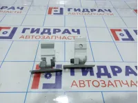 Петли двери задней правой BMW X6 (E71)