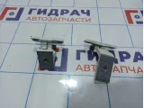Петли двери задней правой BMW X6 (E71)
