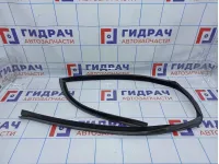Уплотнитель стекла переднего правого BMW X6 (E71) 51357310318