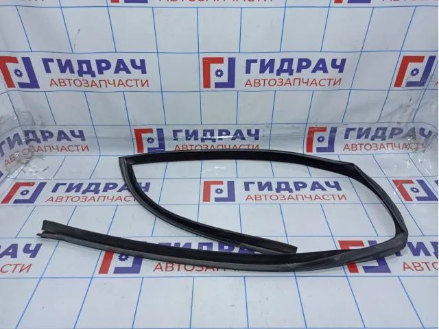 Уплотнитель стекла переднего правого BMW X6 (E71) 51357310318