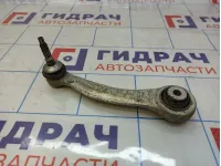 Рычаг задний верхний левый BMW X6 (E71) 33326795047