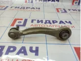 Рычаг задний верхний левый BMW X6 (E71) 33326795047