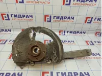Кулак поворотный передний левый BMW X6 (E71) 31216869869