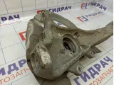 Кулак поворотный передний правый BMW X6 (E71) 31216869870