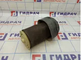 Воздушная подушка (опора пневматическая) левая BMW X6 (E71) 37126790081
