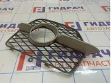 Решетка в бампер левая BMW X6 (E71) 51117176277