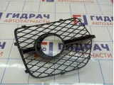 Решетка в бампер левая BMW X6 (E71) 51117176277
