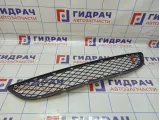 Решетка в бампер центральная BMW X6 (E71) 51117176282