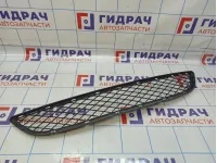 Решетка в бампер центральная BMW X6 (E71) 51117176282