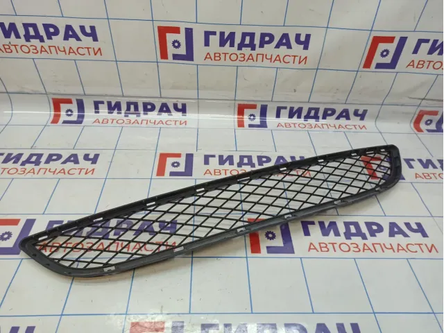 Решетка в бампер центральная BMW X6 (E71) 51117176282
