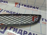 Решетка в бампер центральная BMW X6 (E71) 51117176282