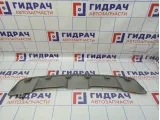 Накладка переднего бампера BMW X6 (E71) 51117179849