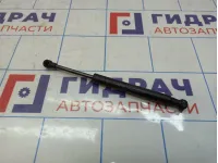 Амортизатор запасного колеса BMW X6 (E71) 51479149120