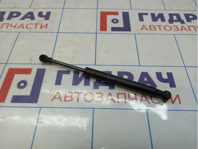 Амортизатор запасного колеса BMW X6 (E71) 51479149120