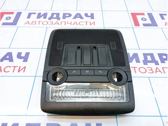 Плафон салонный BMW X6 (E71) 61319183011