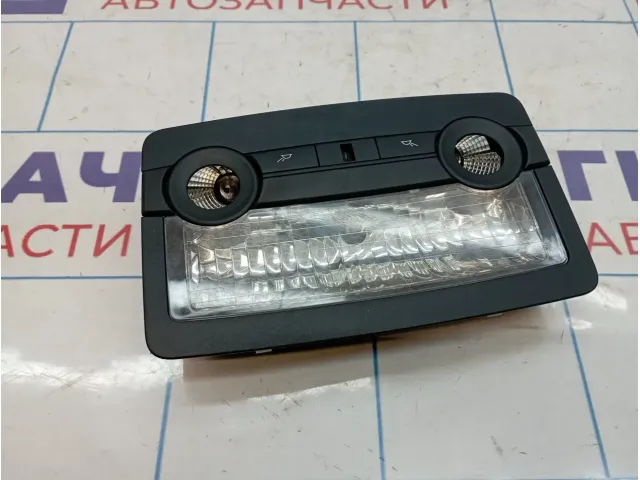 Плафон салонный BMW X6 (E71) 63319111012