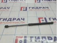 Амортизатор капота BMW X6 (E71) 51237148346