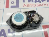 Динамик BMW X6 (E71) 65139151864