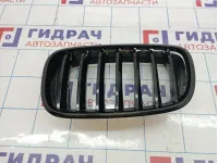 Решетка радиатора левая BMW X6 (E71) 51137157687