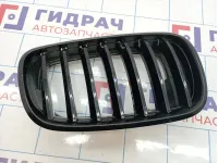 Решетка радиатора правая BMW X6 (E71) 51137157688
