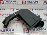 Корпус воздушного фильтра BMW X6 (E71) 13717571345