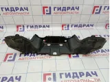 Пыльник моторного отсека BMW X6 (E71) 51717169422