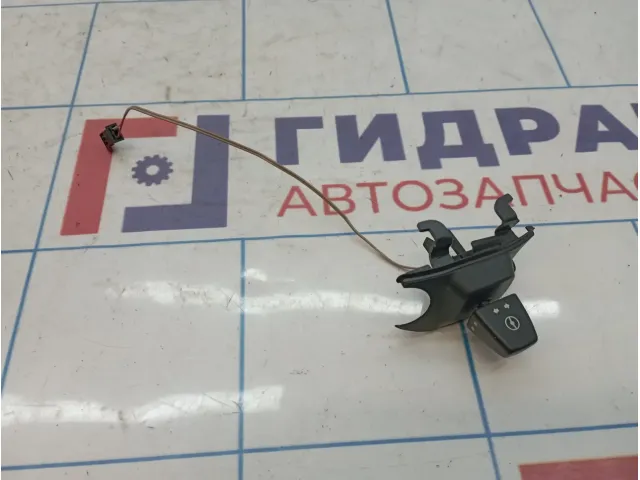 Кнопка регулировки рулевой колонки BMW X6 (E71) 61316966709