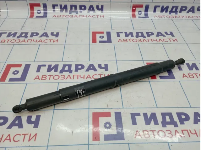 Амортизатор двери багажника BMW X6 (E71) 51247201939