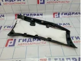 Обшивка стойки задней правой BMW X6 (E71) 51479136011