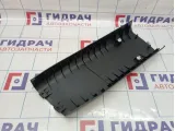 Обшивка стойки средней нижняя левая BMW X6 (E71) 51439133929