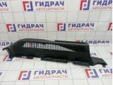 Направляющая шторки багажника левая BMW X6 (E71) 51479135303
