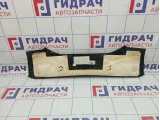 Обшивка двери багажника верхняя BMW X6 (E71) 51497197127