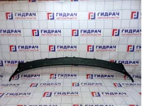 Решетка стеклоочистителя BMW X6 (E71) 51717151969