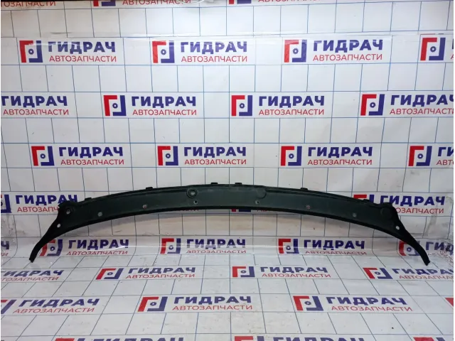 Решетка стеклоочистителя BMW X6 (E71) 51717151969