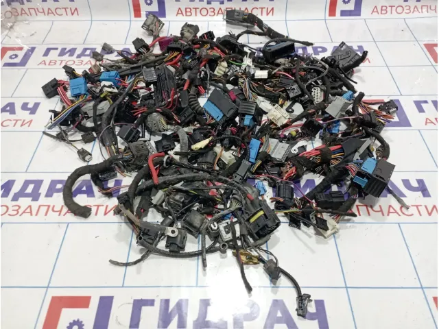 Фишка (разъем) BMW X6 (E71)