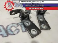 Петли двери передней левой Cadillac SRX.