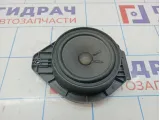 Динамик задний Cadillac Escalade III 15186669. В дверь. Дефект.