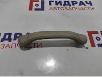 Ручка внутренняя потолочная Cadillac Escalade III 15916833. Передней правой стойки.