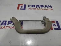 Ручка внутренняя потолочная Cadillac Escalade III 20986858. На среднюю стойку левая.