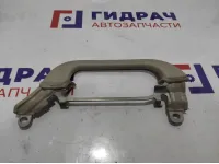 Ручка внутренняя потолочная Cadillac Escalade III 20986862. На среднюю стойку правая.