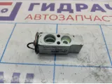 Клапан кондиционера Cadillac SRX 25740393